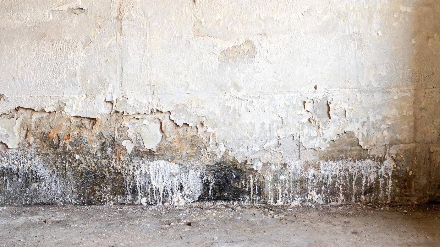 Feuchtefleck mit Salzausblühungen am Sockel einer gestrichenen Kellerwand